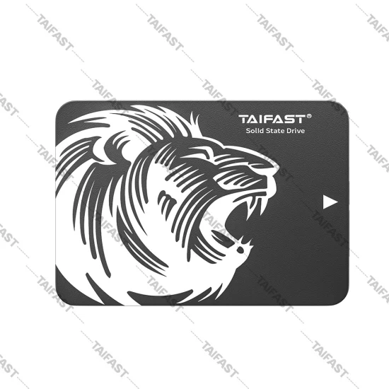 Taifast Hotsale ポータブル SSD 120 ギガバイト 240 ギガバイト 480 ギガバイト M.2 NGFF ソリッド ステート ドライブ ラップトップ PC 5% 割引